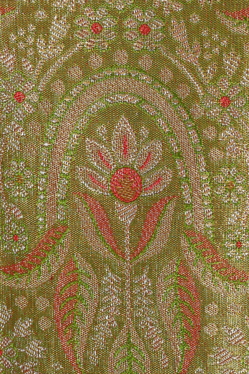 Image of Kanchipattu Green Tissue Brocade Saree